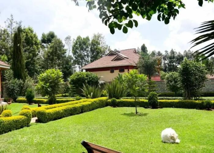 Lux Suites Elgon view Holiday House