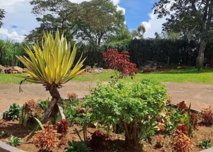 The Yala Home