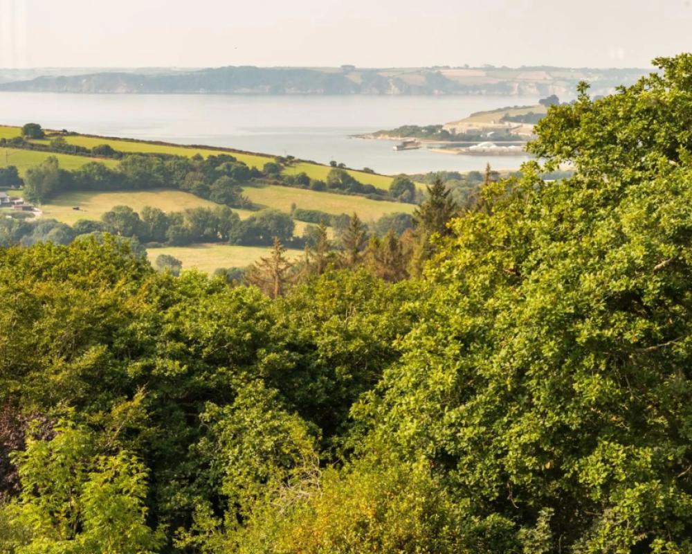 фото Wyndham Trenython Manor Cornwall