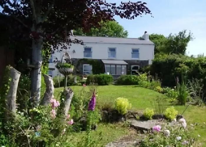 Vine Cottage - B&B