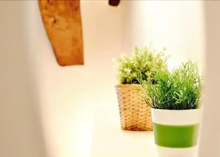 Apartamentos turísticos Rincones del Vino