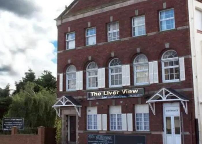 The Liver View