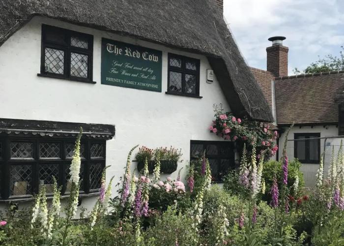 The Red Cow
