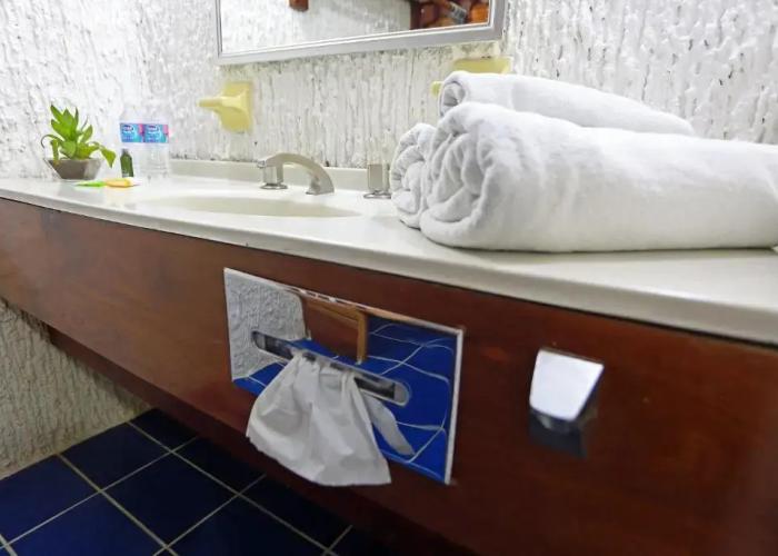 Hotel Plaza Palmas