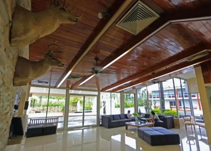 Hotel Plaza Palmas