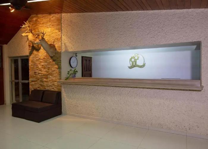 Hotel Plaza Palmas