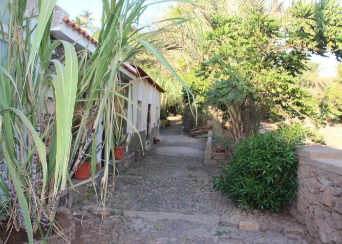 Apartamento Laranjinha