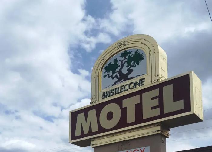 Bristlecone Motel