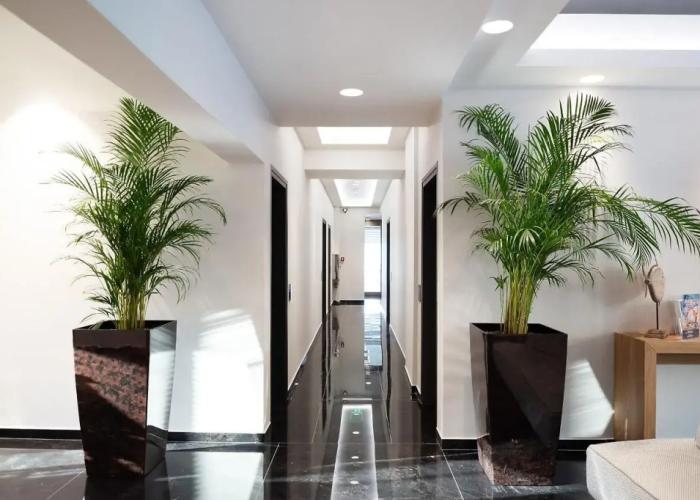 Sea Level Hotel