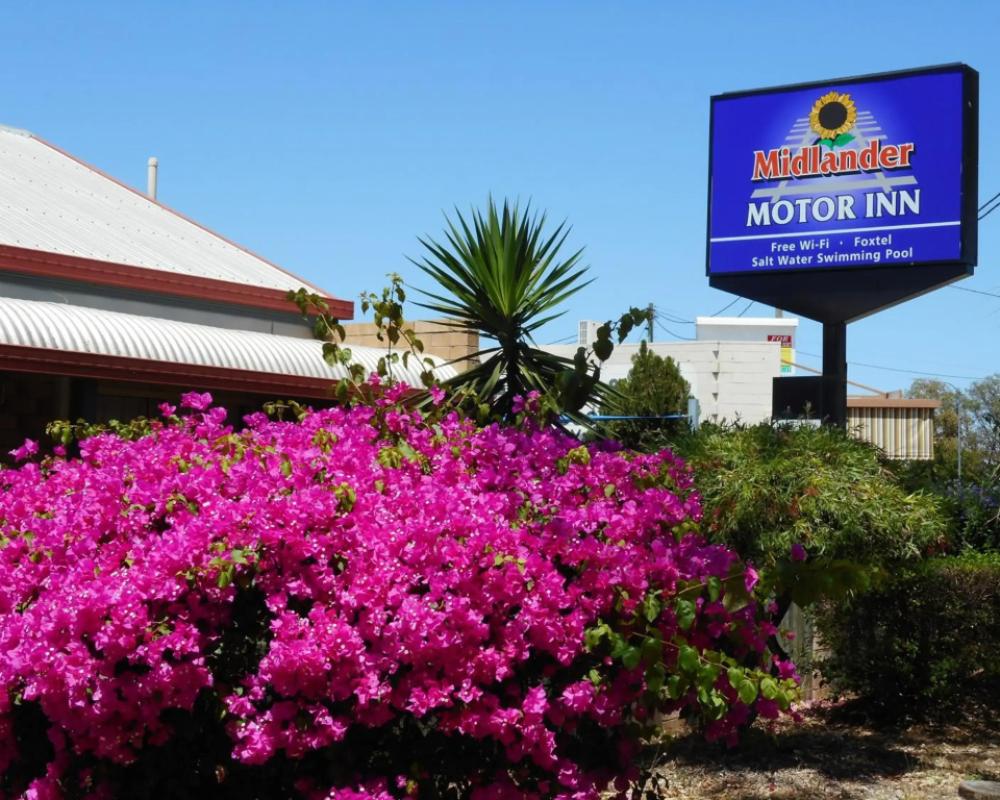 фото Midlander Motor Inn