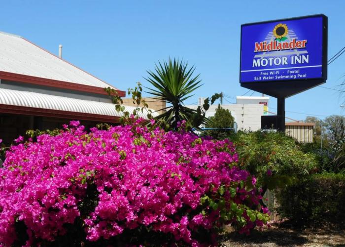 Midlander Motor Inn