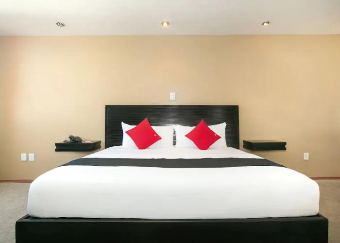 Hotel Euro Confort