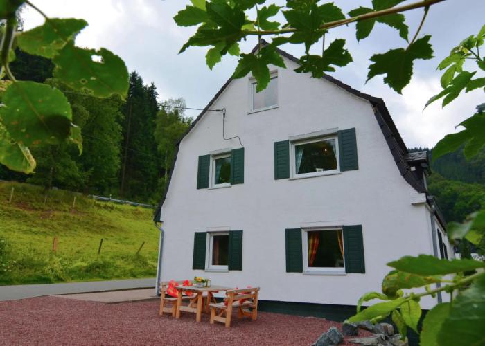 Fabulous Holiday Home in Olsberg near Ski Area