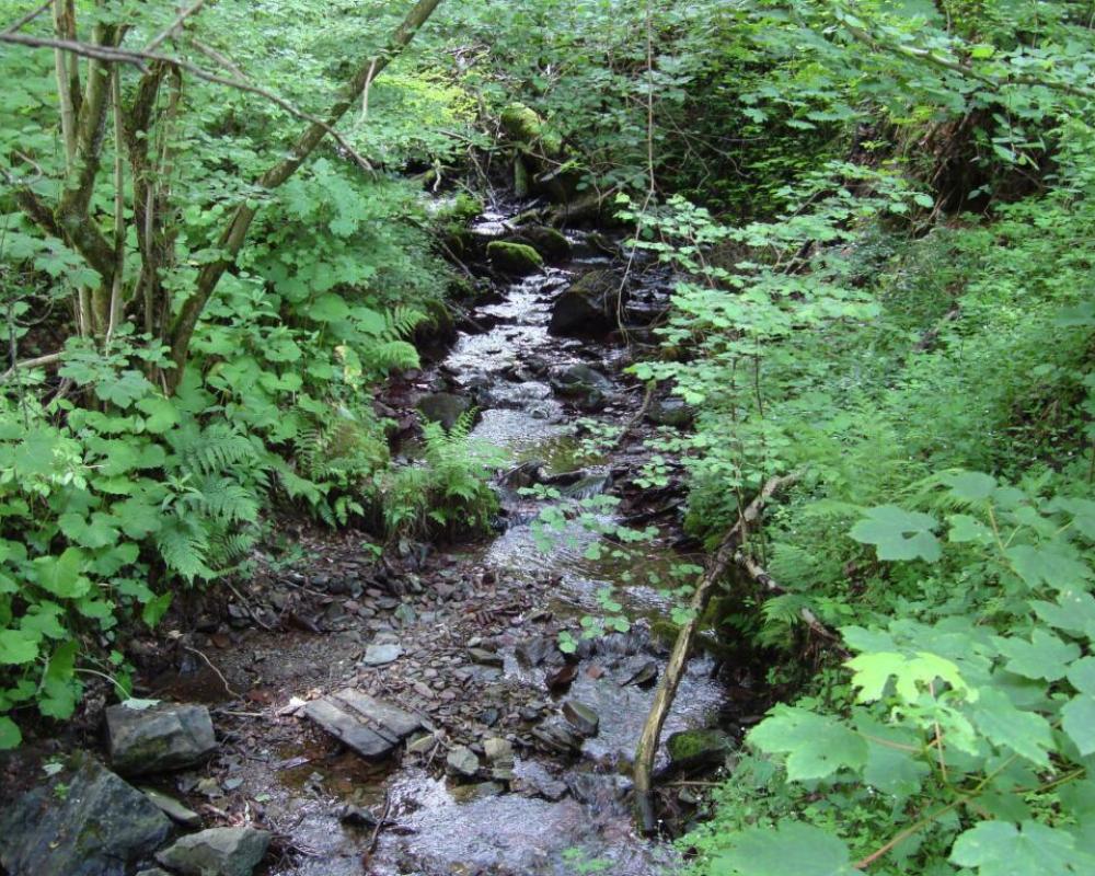 Apartment With Covered Terrace in Hallenberg