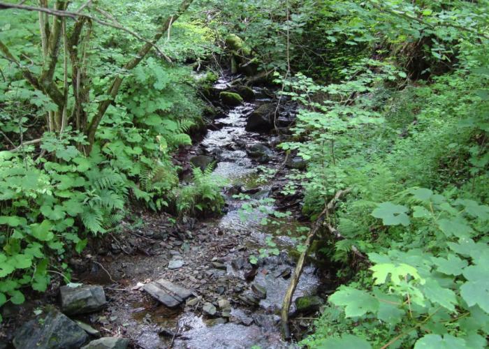 Apartment With Covered Terrace in Hallenberg