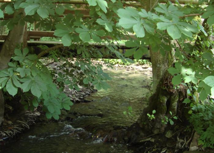 Apartment With Covered Terrace in Hallenberg