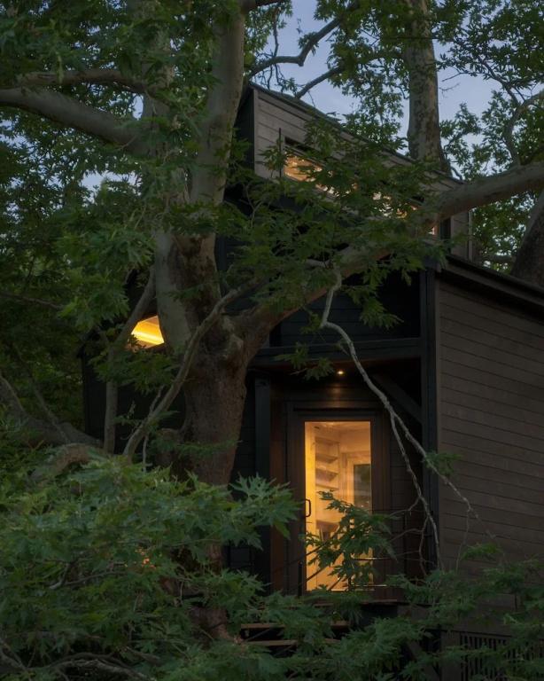 фото Aoos river Treehouse