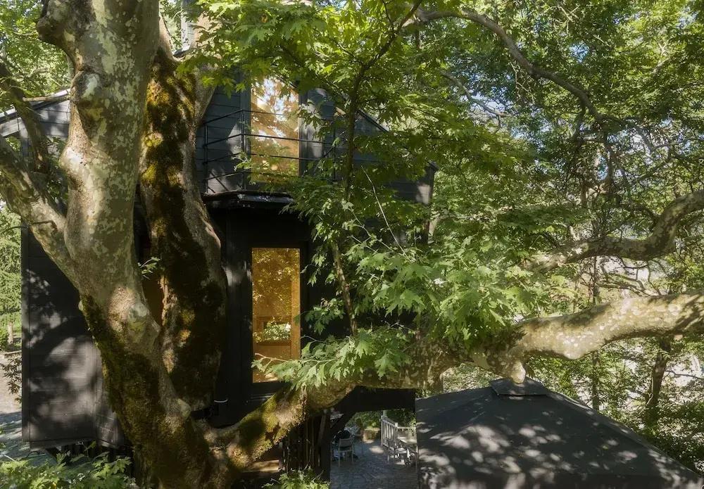 фото Aoos river Treehouse