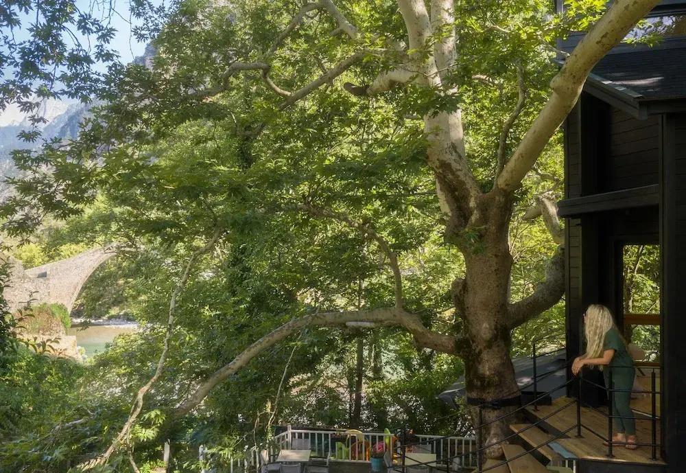 фото Aoos river Treehouse