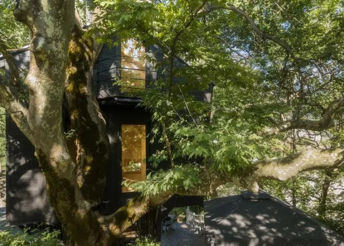 Aoos river Treehouse
