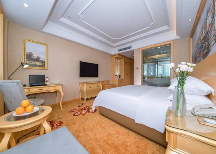 Vienna International Hotel (Enshi Cultural Center Airport)