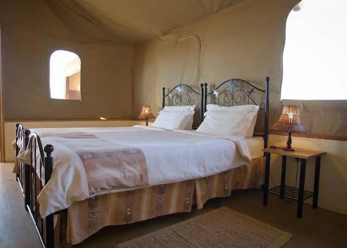 Desert Camp