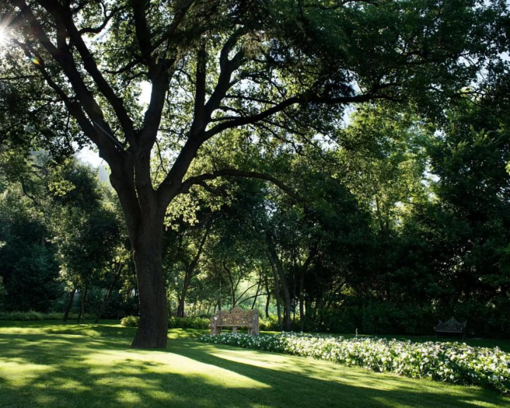 фото Villa Lattanzi