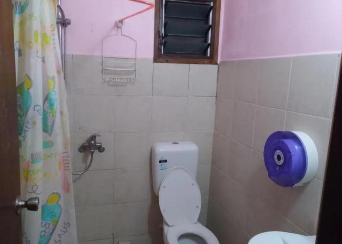 Bluepango Guest House - Hostel