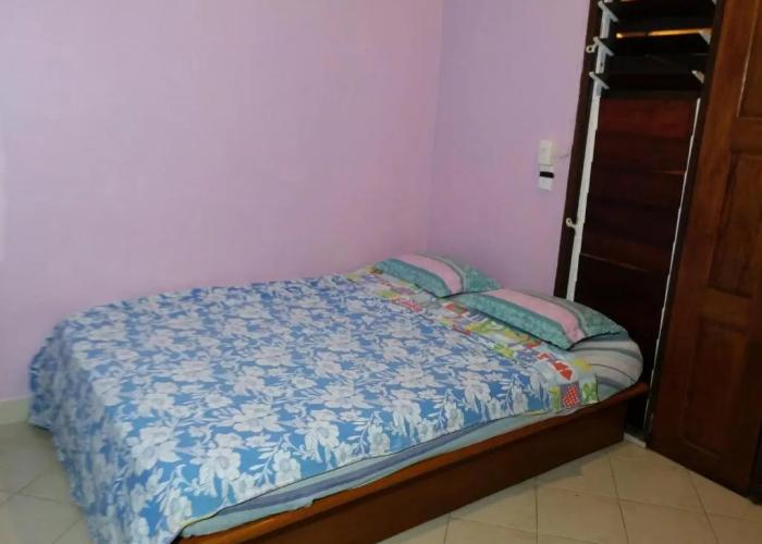 Bluepango Guest House - Hostel