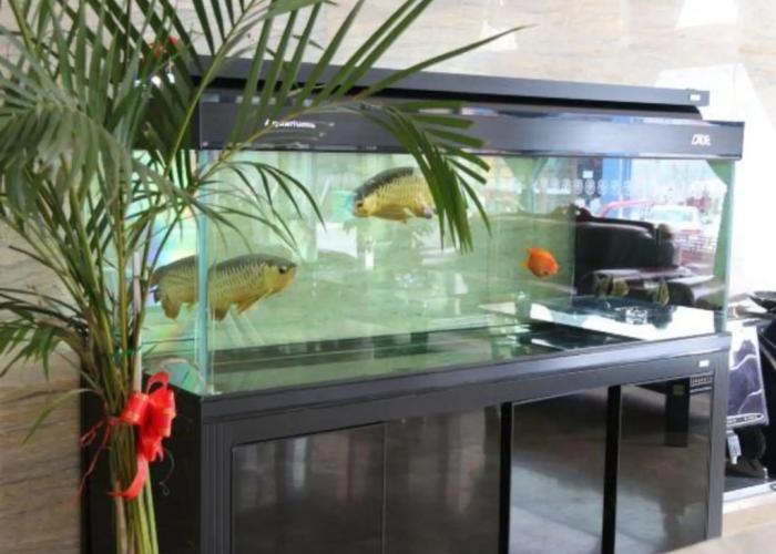 Jiuchao Longting Hotel