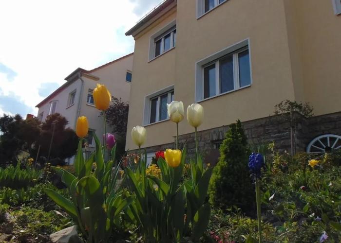 Apartment Avanzato
