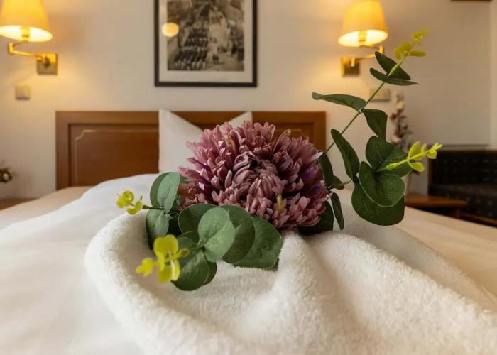 Hotel Alekto