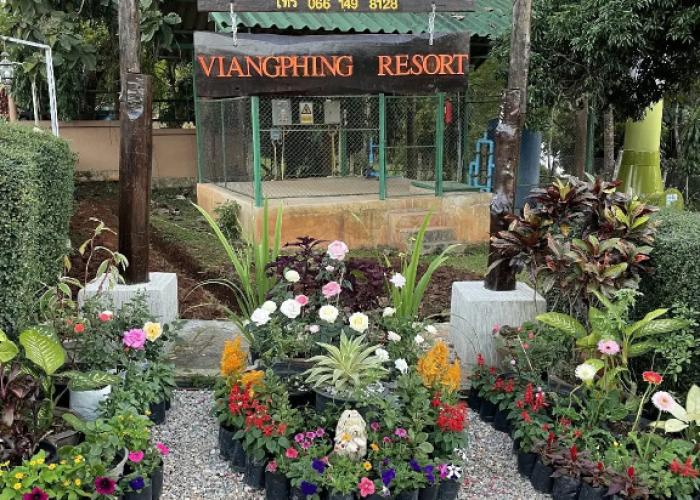 ViangPhing Resort