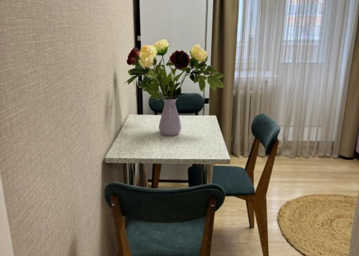 Odnokomnatnaya Khirurga Nechaeva 16 Flat