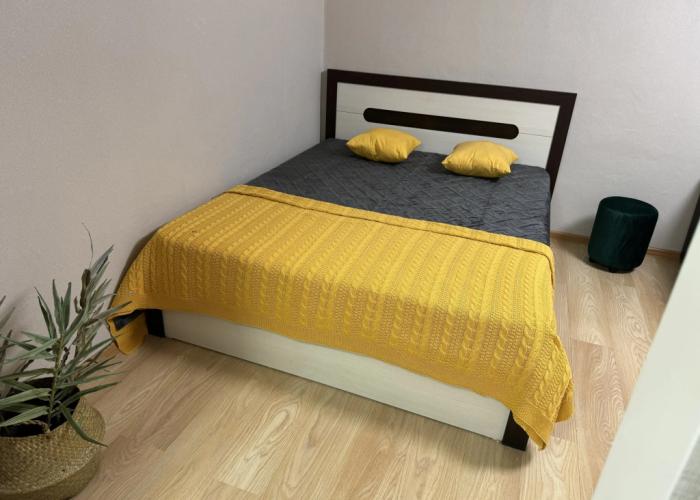 Odnokomnatnaya Khirurga Nechaeva 16 Flat
