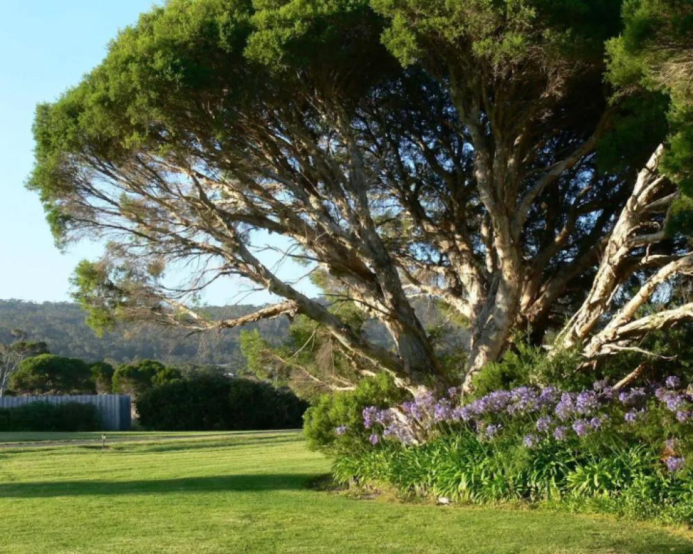 фото Spring Bay Villas