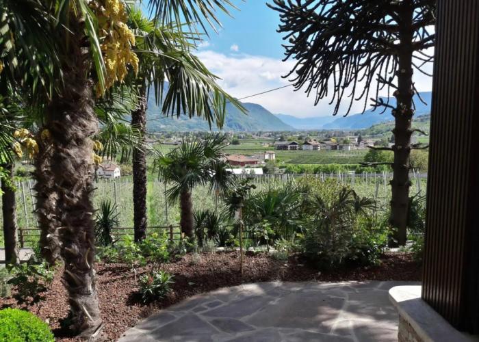 Ruster Resort