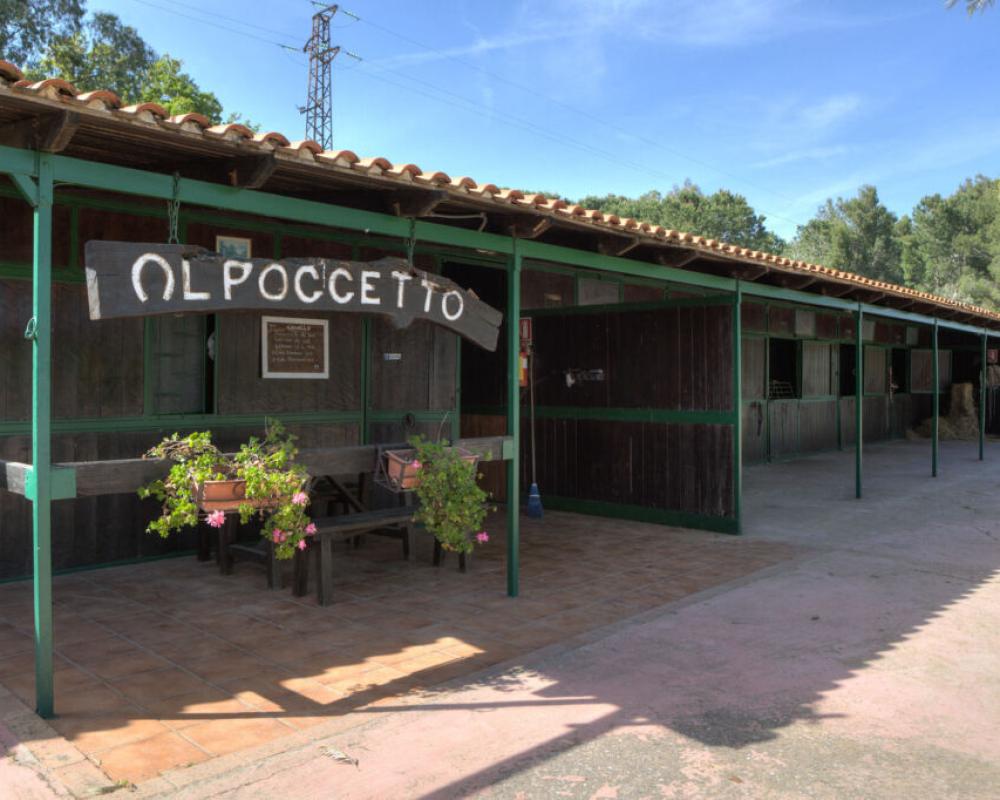 Agriturismo Al Poggetto