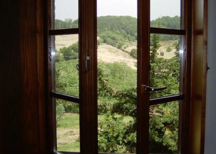 Bellavista farm of Quercini Maurizio