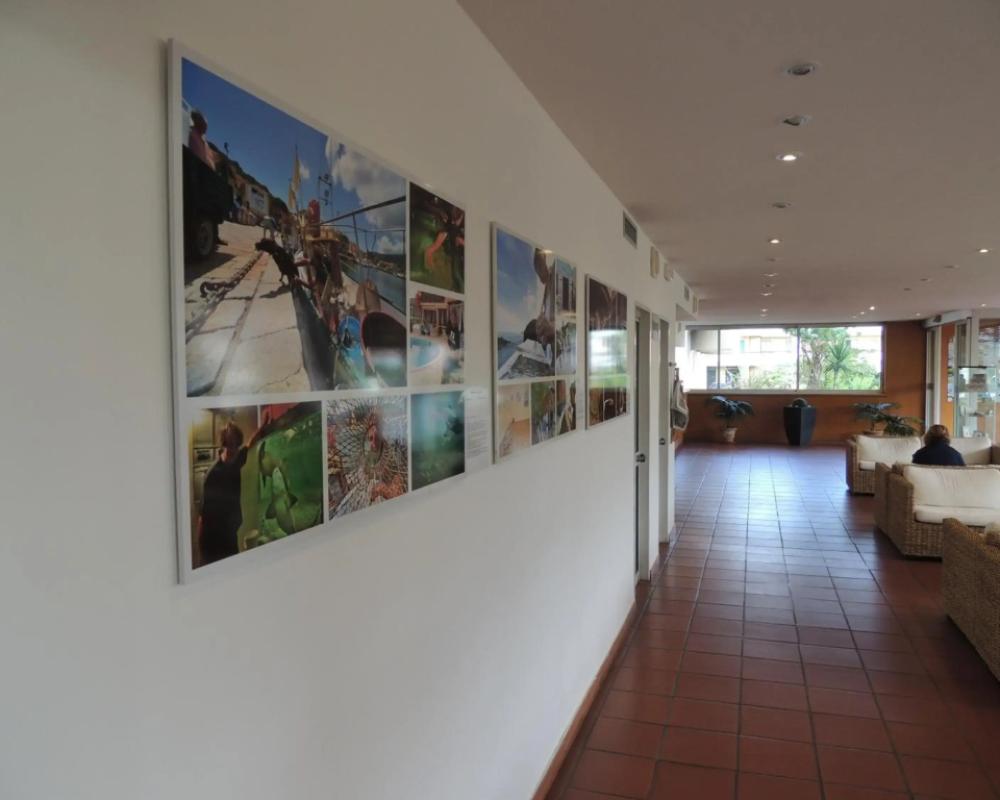 фото Hotel Select