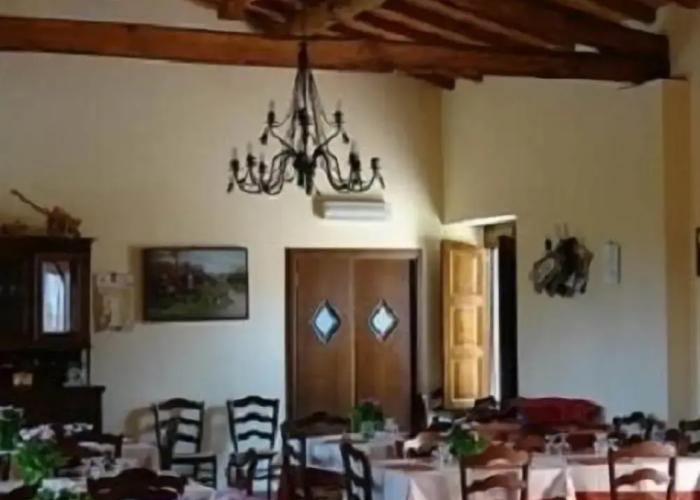 La Grevillea