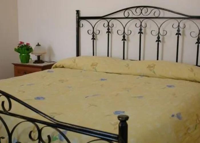 La Grevillea