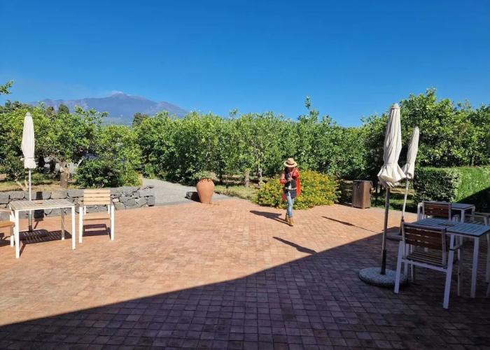 Farm Lumia
