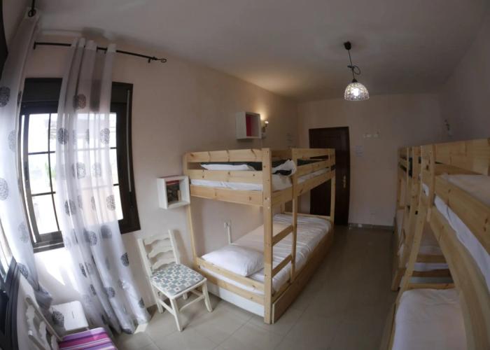Drago Hostel