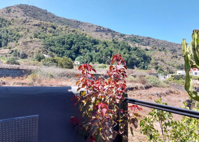 Apartamentos Monasterio de San Antonio Adults Only Apartments