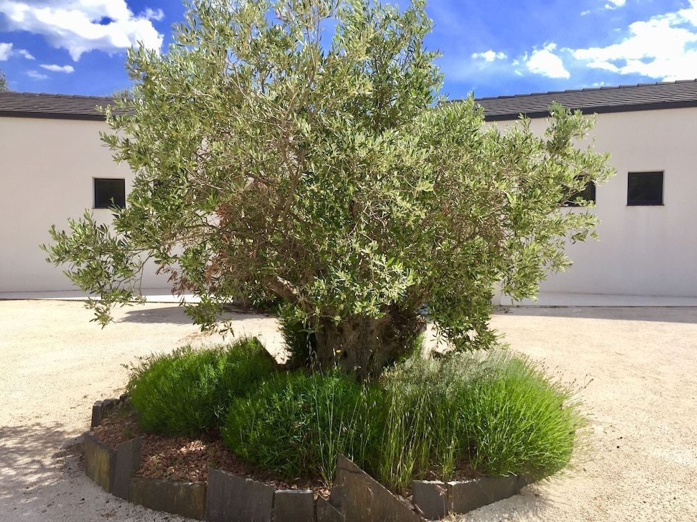 B&B L'Escale Cote Bleue