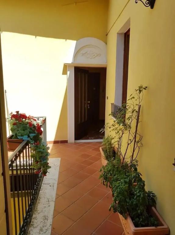 фото B&B Il Roma