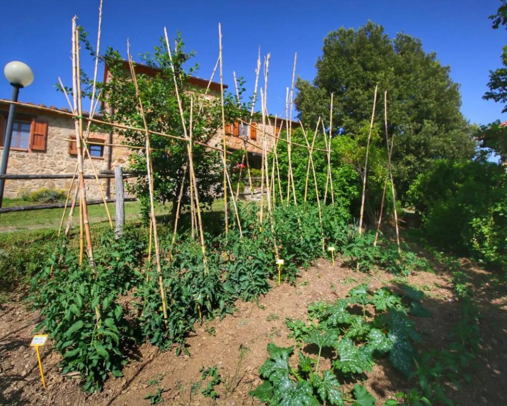 Belvilla by OYO Club House