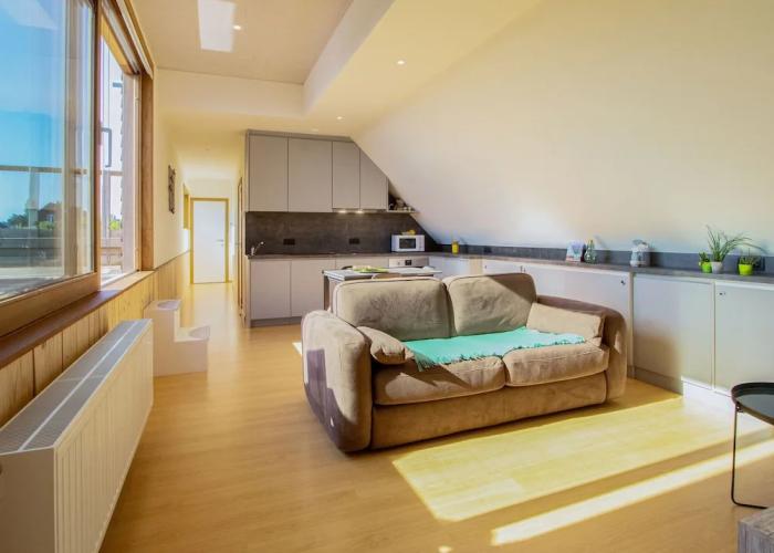 Apartment West Flanders With Roof Terrace
