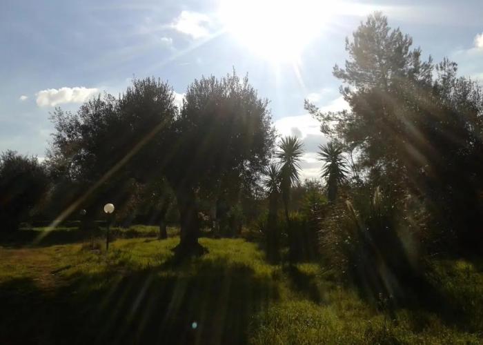 Masseria dell'800